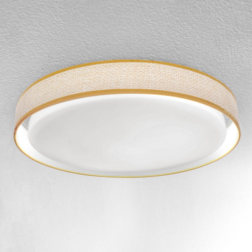 Brilagi - LED регулируемо таванно осветително тяло KIANIA LED/48W/230V 3000-6500K Ø 43 см + дистанционно управление