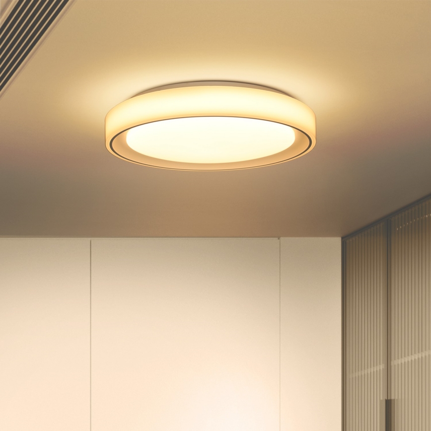Brilagi - LED RGB Димируем плафон FLOCO LED/30W/230V 3000-6500K Wi-Fi Tuya + LED/6W + дистанционно управление