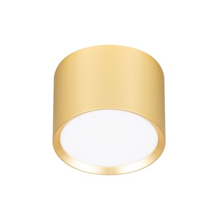 Brilagi - LED RGB+CCT димируемо точково осветително тяло SMOOTH 1xGX53/14W/230V 2700-6500K Wi-Fi Tuya златисто