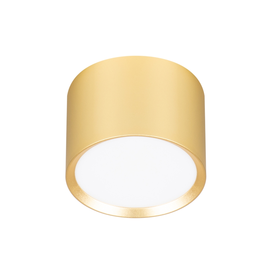 Brilagi - LED RGB+CCT димируемо точково осветително тяло SMOOTH 1xGX53/14W/230V 2700-6500K Wi-Fi Tuya златисто