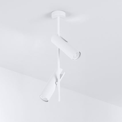 Brilagi - LED RGBW димируем полилей на тръба BRANCH 2xGU10/6,5W/230V 2700-6500K бял