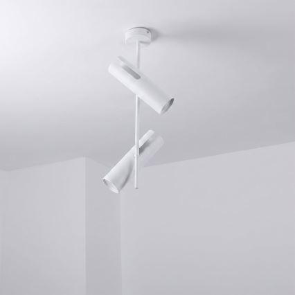 Brilagi - LED RGBW димируем полилей на тръба BRANCH 2xGU10/6,5W/230V 2700-6500K бял