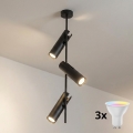 Brilagi - LED RGBW димируем полилей на пръчка BRANCH 3xGU10/6,5W/230V 2700-6500K черен