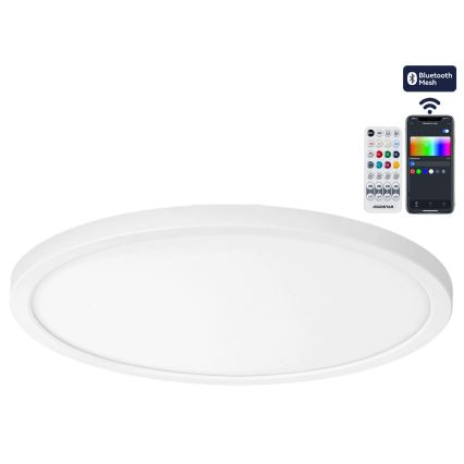Brilagi - LED RGBW димируем таванен плафон VIBE LED/24W/230V 3000-6500K Ø 26 см бял + дистанционно управление