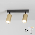 BRILAGI - LED RGBW димируемо точково осветително тяло SELE GOLDEN 2xGU10/4,8W/230V 3000K черно/златно + дистанционно управление