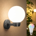 BRILAGI - LED RGBW димируемо външно стенно осветително тяло HARBOR 1xE27/12W/230V 2700-6500K IP33 антрацит/бяло