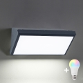 BRILAGI - LED RGBW димируемо външно стенно осветително тяло TRIANGLE 1xE27/12W/230V 2700-6500K IP65 антрацит