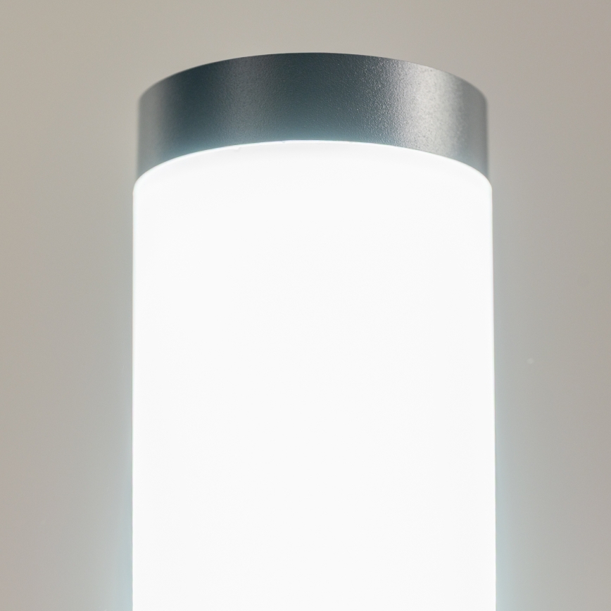 BRILAGI - LED RGBW димируема външна лампа ELIA 1xE27/6,5W/230V 2700-6500K IP44 Wi-Fi 100 cm антрацит