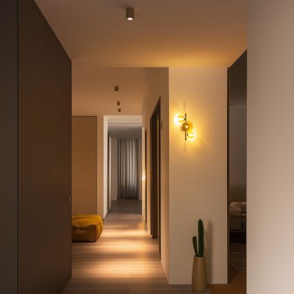 Brilagi - LED стенен аплик MILLA 3xG9/3W/230V черен хром/злато