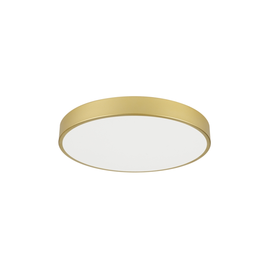 Brilagi - LED таванен осветител POOL LED/60W/230V 3000/4000/6000K, диаметър 60 см, златист