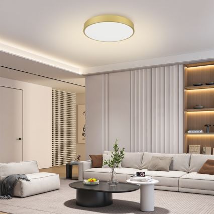 Brilagi - LED таванен осветител POOL LED/60W/230V 3000/4500/6000K, диаметър 60 см, златист