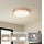 Brilagi - LED таванен плафон POOL LED/48W/230V 3000/4000/6000K Ø 40 см бронзов