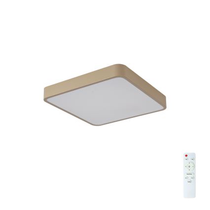 BRILAGI - LED димируемо таванно осветително тяло POOL SQUARE LED/36W/230V 3000-6000K 40x40 cm бежово + дистанционно управление