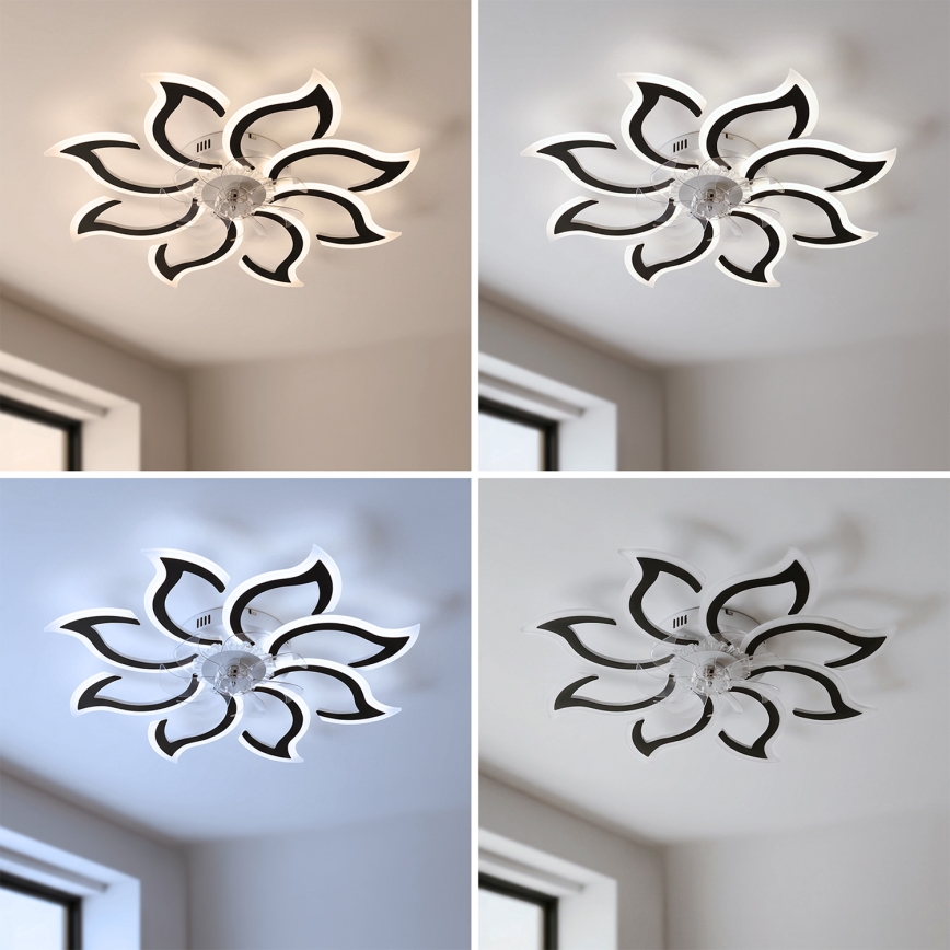 Brilagi - LED таванен вентилатор с функция за димиране LED/44W/230V Ø 90 см, черен + дистанционно управление