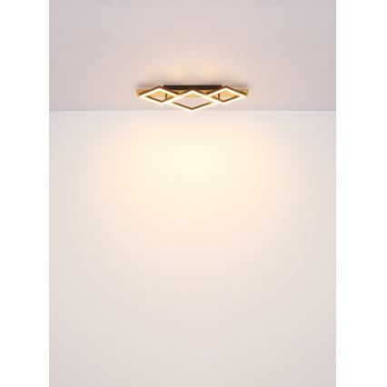 Brilagi - LED таванно осветително тяло AXIS I LED/24W/230V