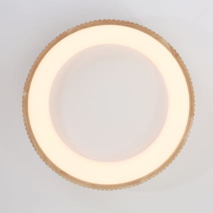 Brilagi - LED таванно осветително тяло FALCON WOOD MODERN LED/40W/230V 3000/4000/6000K диаметър 60 см, дървено