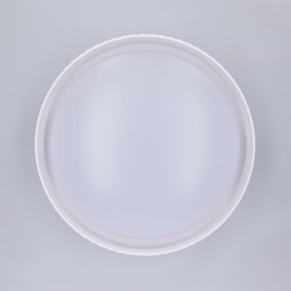 Brilagi - LED таванно осветително тяло LUCIA LED/24W/230V, диам. 31 см, бяло