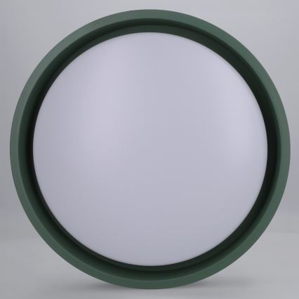 Brilagi - LED таванно осветително тяло MATTEO LED/24W/230V Ø 31 см зелено