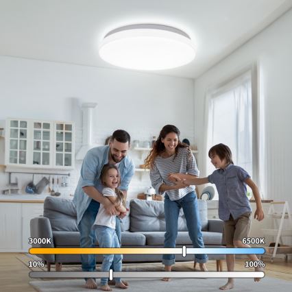 Brilagi - LED таванно осветително тяло MILKY WAY LED/24W/230V 3000/4000/6500K Ø 38 см