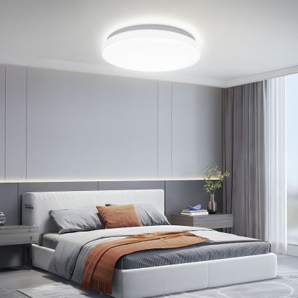 Brilagi - LED таванно осветително тяло MILKY WAY LED/24W/230V 3000/4000/6500K Ø 38 см