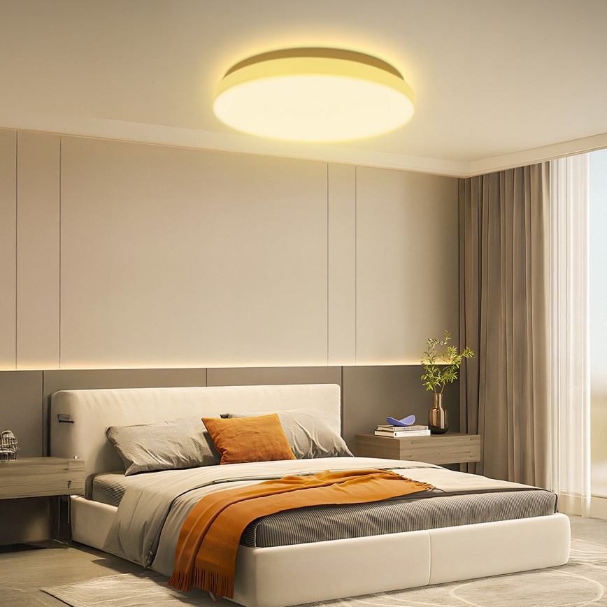 Brilagi - LED таванно осветително тяло MILKY WAY LED/24W/230V 3000K Ø 38 см