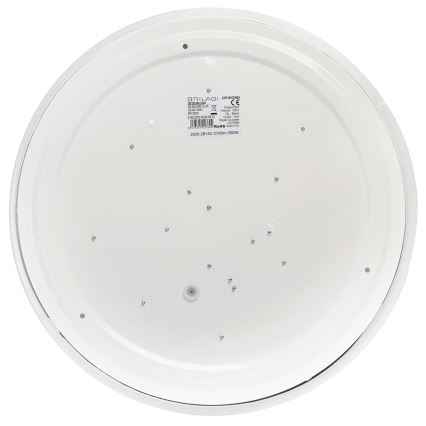 Brilagi - LED таванно осветително тяло MILKY WAY LED/24W/230V 3000K Ø 38 см