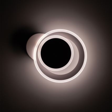BRILAGI - LED Таванно осветително тяло MODERN MINI LED/22W/230V 3000/4000/6000K