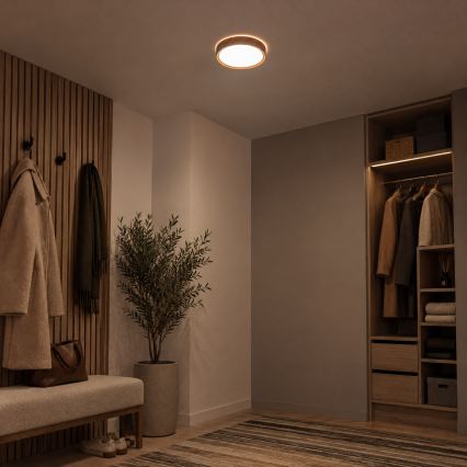 BRILAGI - LED таванно осветително тяло NATURA LED/12W/230V 4000K Ø 26,3 cm