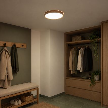 BRILAGI - LED таванно осветително тяло NATURA LED/24W/230V 4000K Ø 38,3 cm
