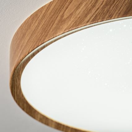 BRILAGI - LED таванно осветително тяло NATURA LED/24W/230V 4000K Ø 38,3 cm