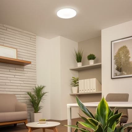 Brilagi - LED таванно осветително тяло OPAL LED/24W/230V Ø 37,5 cm