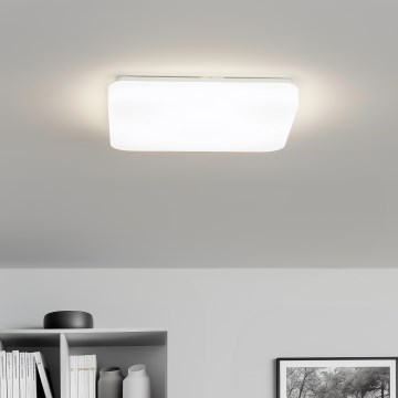 Brilagi - LED таванно осветително тяло PLAIN LED/24W/230V 3000K