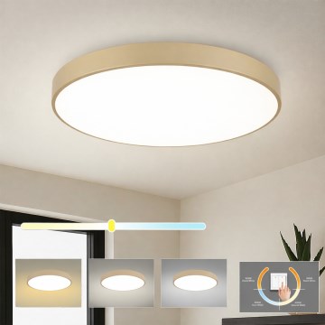 Brilagi - LED таванно осветително тяло POOL LED/100W/230V 3000/4000/6000K Ø 80 см бежово