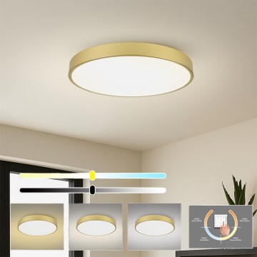 Brilagi - LED таванно осветително тяло POOL LED/100W/230V 3000/4500/6000K пр. 80 см златисто