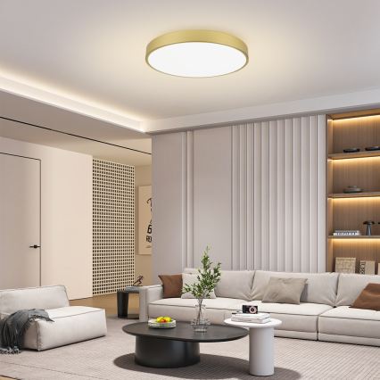 Brilagi - LED таванно осветително тяло POOL LED/100W/230V 3000/4500/6000K пр. 80 см златисто