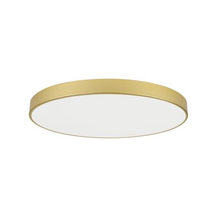 Brilagi - LED таванно осветително тяло POOL LED/128W/230V 3000/4000/6000K pr. 100 cm златисто