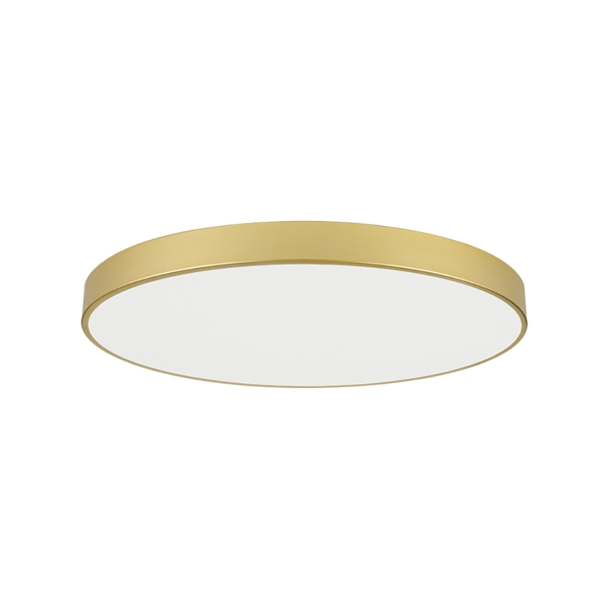 Brilagi - LED таванно осветително тяло POOL LED/128W/230V 3000/4000/6000K pr. 100 cm златисто