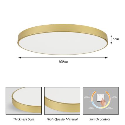 Brilagi - LED таванно осветително тяло POOL LED/128W/230V 3000/4000/6000K pr. 100 cm златисто