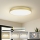 Brilagi - LED таванно осветително тяло POOL LED/128W/230V 3000/4000/6000K pr. 100 cm златисто