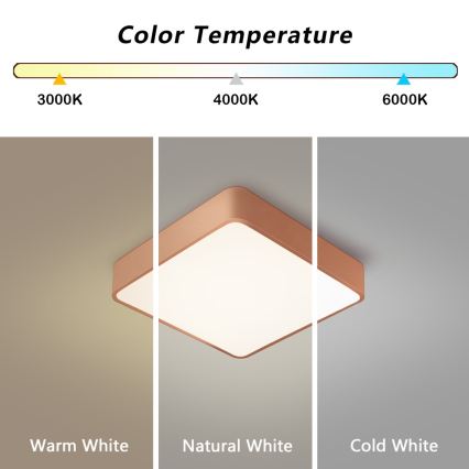 Brilagi - LED таванно осветително тяло POOL LED/36W/230V 3000/4000/6000K 40x40 cm бронзово