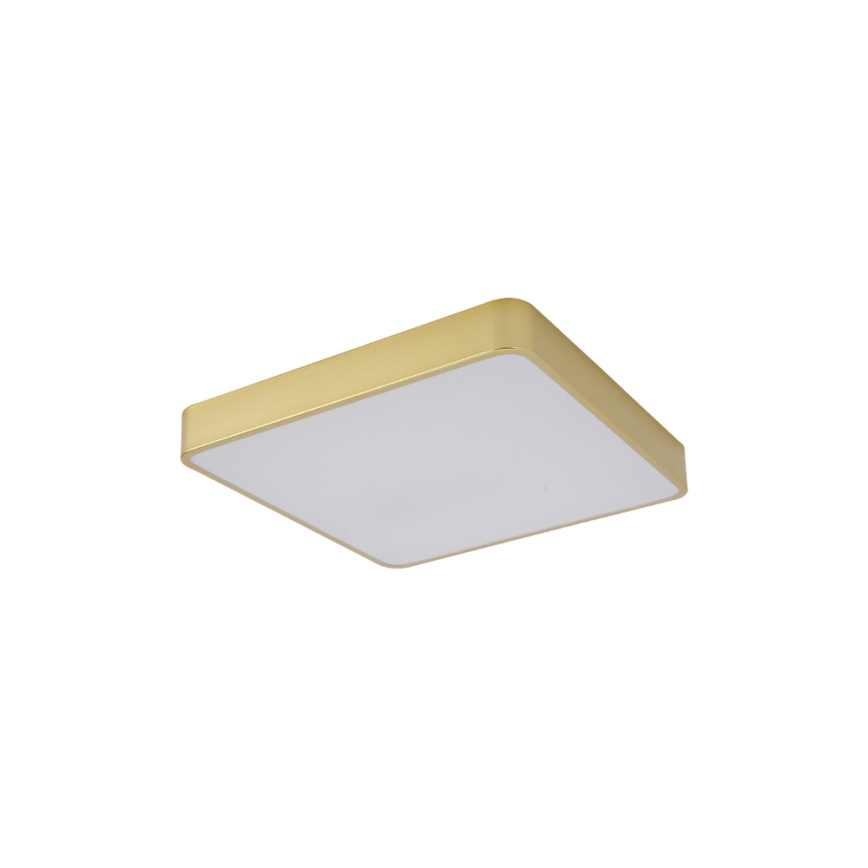 Brilagi - LED таванно осветително тяло POOL LED/36W/230V 3000/4000/6000K 40x40 см златисто