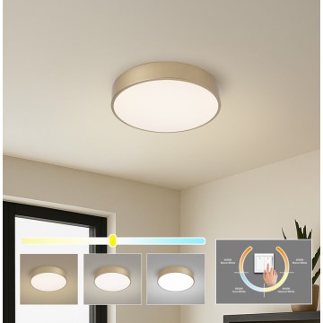 Brilagi - LED таванно осветително тяло POOL LED/36W/230V 3000/4000/6000K Ø 30 см златисто