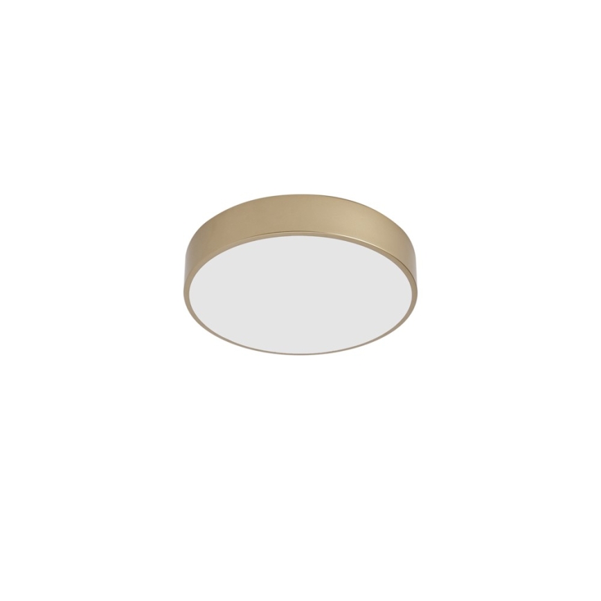 Brilagi - LED таванно осветително тяло POOL LED/36W/230V 3000/4000/6000K Ø 30 см златисто