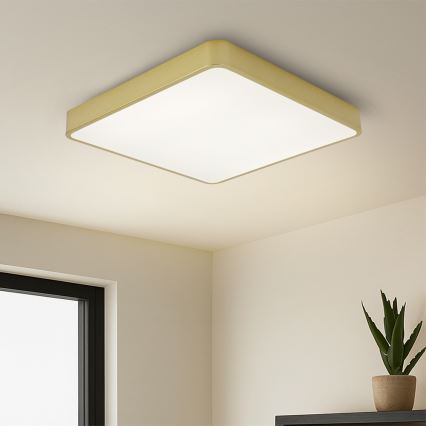 Brilagi - LED таванно осветително тяло POOL LED/48W/230V 3000/4000/6000K 50x50 cm златисто