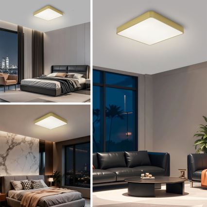 Brilagi - LED таванно осветително тяло POOL LED/48W/230V 3000/4000/6000K 50x50 cm златисто