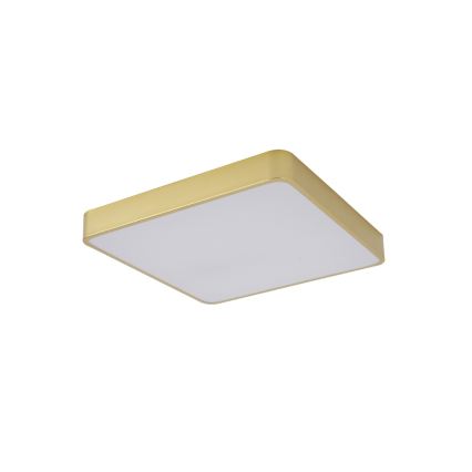 Brilagi - LED таванно осветително тяло POOL LED/48W/230V 3000/4000/6000K 50x50 cm златисто
