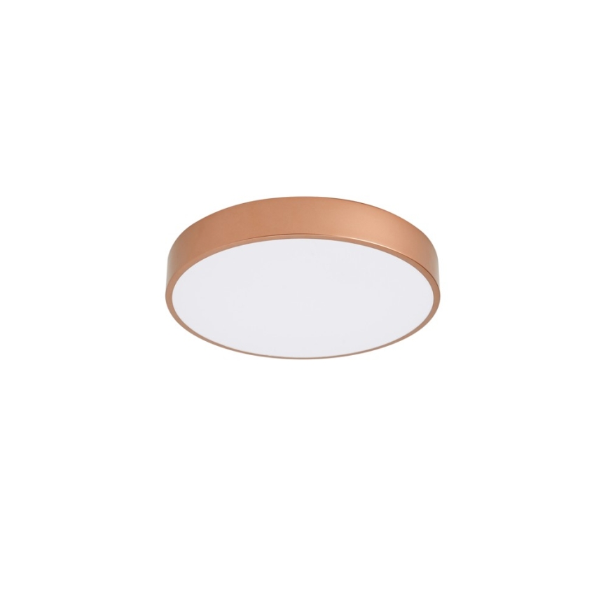 BRILAGI - LED таванно осветително тяло POOL LED/48W/230V 3000/4000/6000K диаметър 40 см медно