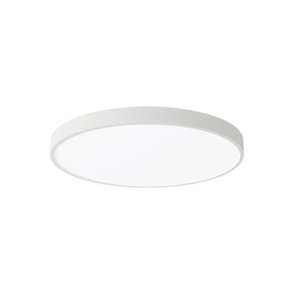 Brilagi - LED таванно осветително тяло POOL LED/60W/230V 3000/4000/6000K 50 cm бяло