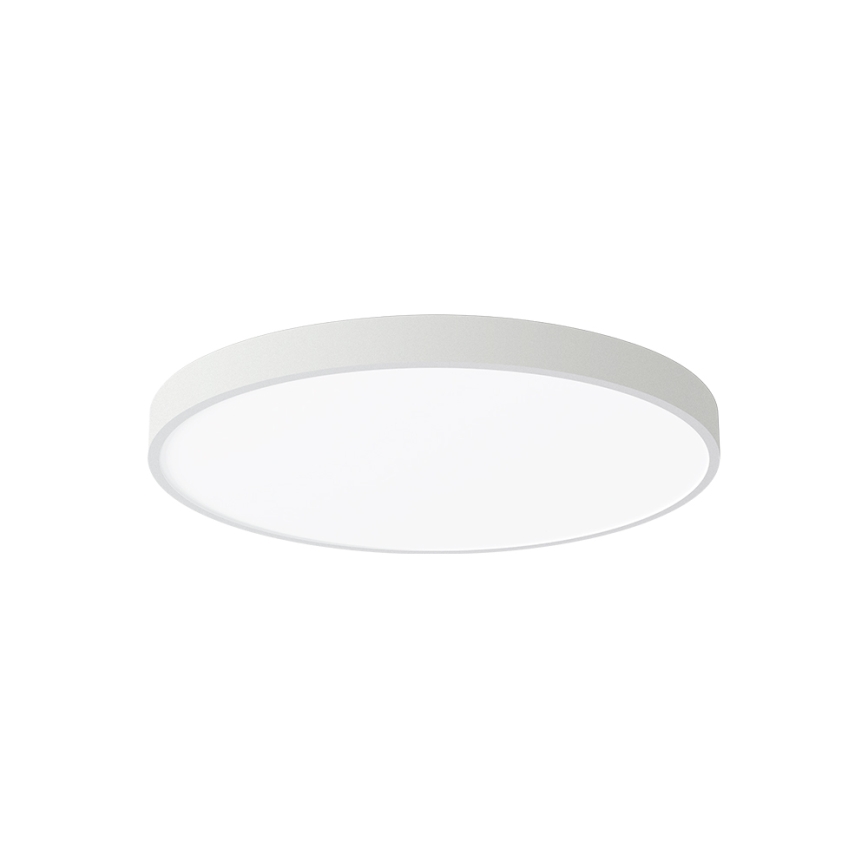 Brilagi - LED таванно осветително тяло POOL LED/60W/230V 3000/4000/6000K 50 cm бяло