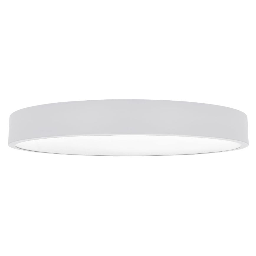 Brilagi - LED таванно осветително тяло POOL LED/60W/230V 3000/4000/6000K 50 cm бяло
